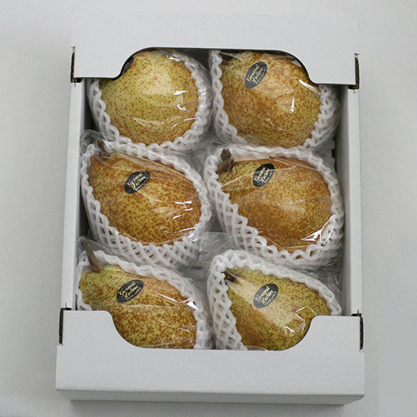 福島県産 洋なし ゼネラル・レクラーク 大玉 2.5kg【お届け期間：11月1日〜12月5日】【旬鮮便】　商品画像1