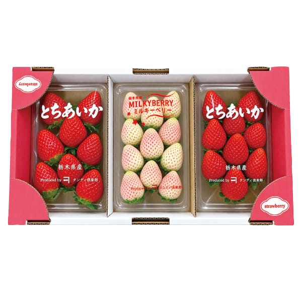 栃木県産 塩谷郡高根沢町地区 ダンディ倶楽部さんのいちご食べ比べセット(とちあいか2パック・ミルキーベリー1パック) 250g 3パックセット【お届け期間:1月5日〜3月31日】【KN】 商品画像1