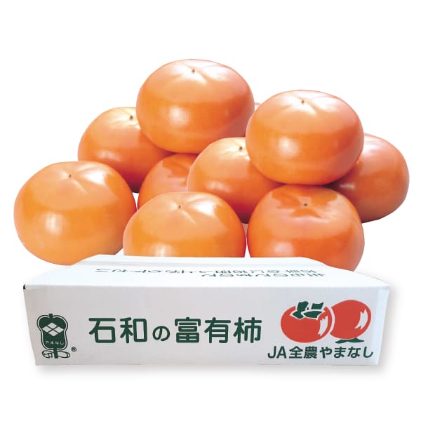 山梨県産 JAふえふき石和支所 山梨県産 富有柿 L〜2Lサイズ 7.5kg入り【お届け期間:11月1日〜11月30日】【KN】 商品画像1