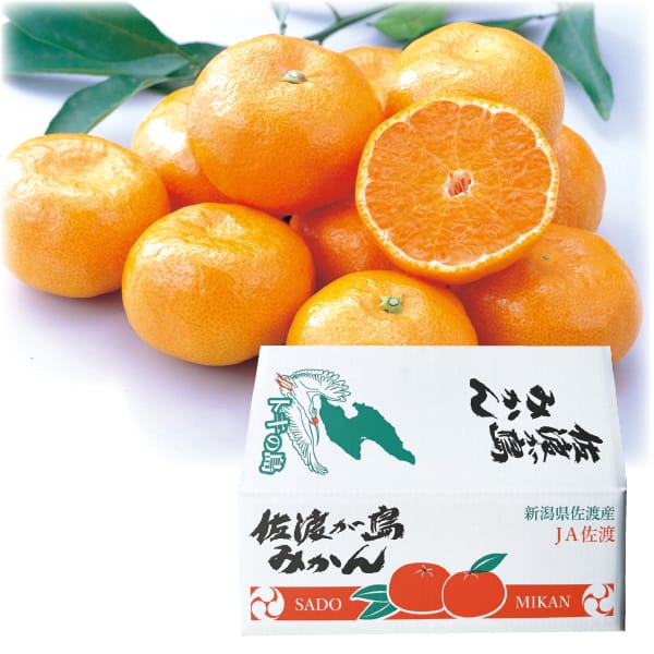 新潟県産 JA佐渡 みかん(ゆら早生・田口早生) 4.8kg×2箱(35〜50個/箱)【お届け期間:11月21日〜12月30日】【KN】 商品画像1