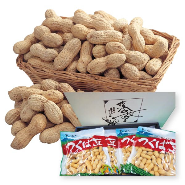 茨城県産 つくば市 つくば落花生(化粧箱) 160g 4袋【お届け期間:11月28日〜2月28日】【KN】　商品画像1