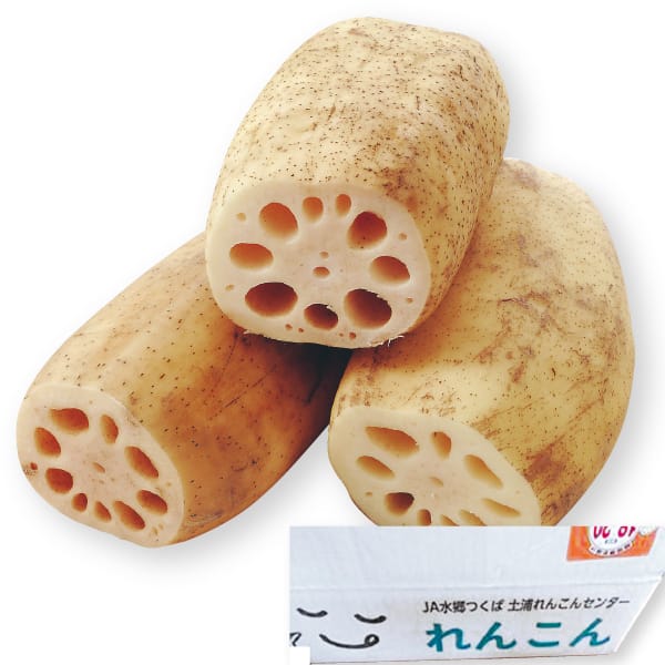 茨城県産 JA水郷つくば れんこんギフト 4kg入り【お届け期間:12月3日〜12月26日】【KN】 商品画像1