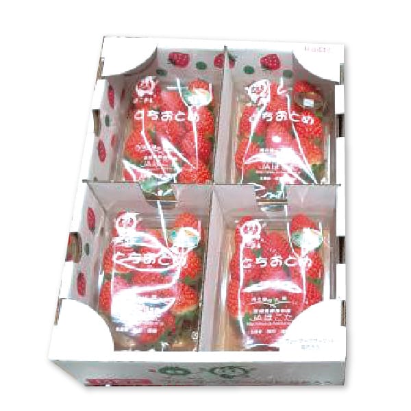 茨城県産 JAほこた なだろういちご(とちおとめ)大粒 4パック【お届け期間:1月15日〜2月28日】【KN】 商品画像1