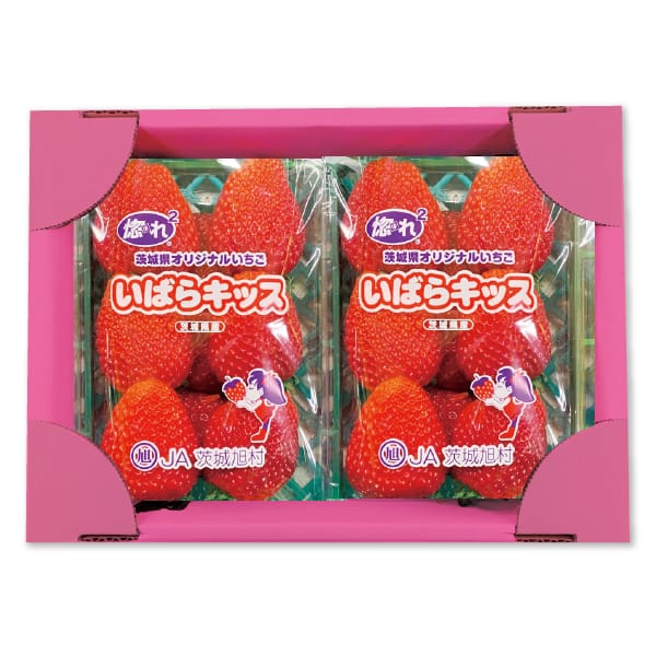 茨城県産 A茨城旭村 大粒いちご(いばらキッス) 2パック入【お届け期間:1月15日〜2月28日】【KN】 商品画像1