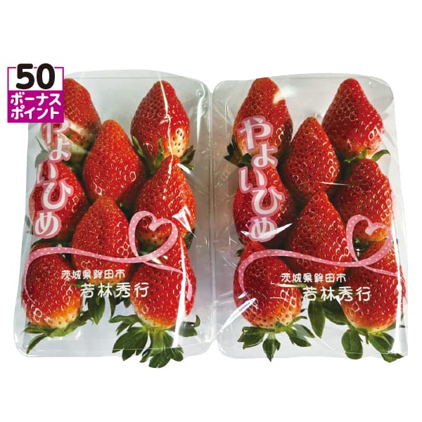 茨城県産 鉾田市地区 いちご(やよいひめ) 2パック入【お届け期間:1月15日〜2月28日】【KN】 商品画像1