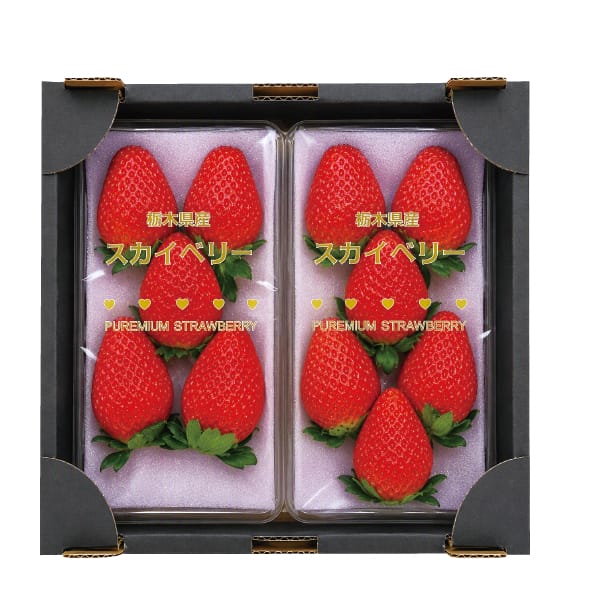 栃木県産 プレミアムいちご会 大粒いちご(スカイベリー) 250g入×2パック【お届け期間:1月7日〜3月31日】【KN】 商品画像1