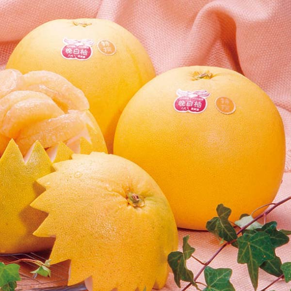 熊本県産 晩白柚・デコポンセット(お届け期間：11/11〜12/30)【冬の贈りもの・お歳暮】　商品画像1
