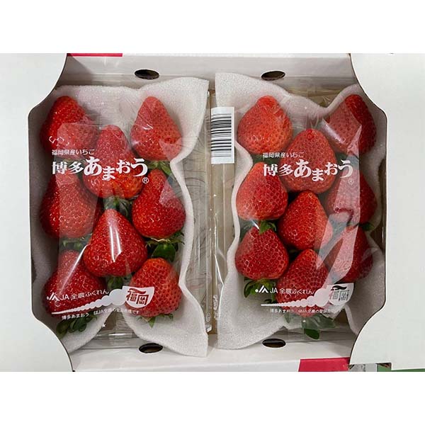 福岡県産 いちご 博多あまおう 250g×2【限定1000点】【お届け期間：12月1日〜12月20日】【ブラックフライデー】　商品画像1