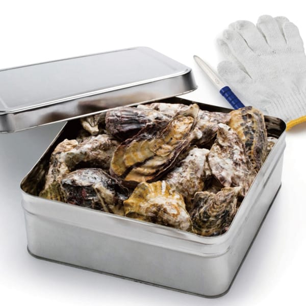 クニヒロ 広島 冷凍牡蠣の缶焼きセット 冷凍殻付かきM1.3kg、缶、手袋、ナイフ【お届け期間:11月11日〜1月10日】【旬鮮便】【NN】 商品画像1