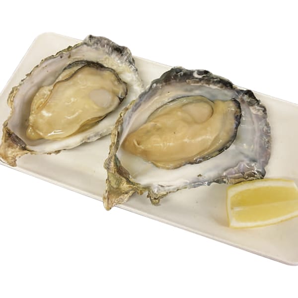 廣島浜丸 広島かき「じごぜん」殻付き牡蠣 殻付き牡蠣10個【お届け期間:11月11日〜1月10日】【旬鮮便】【NN】 商品画像1