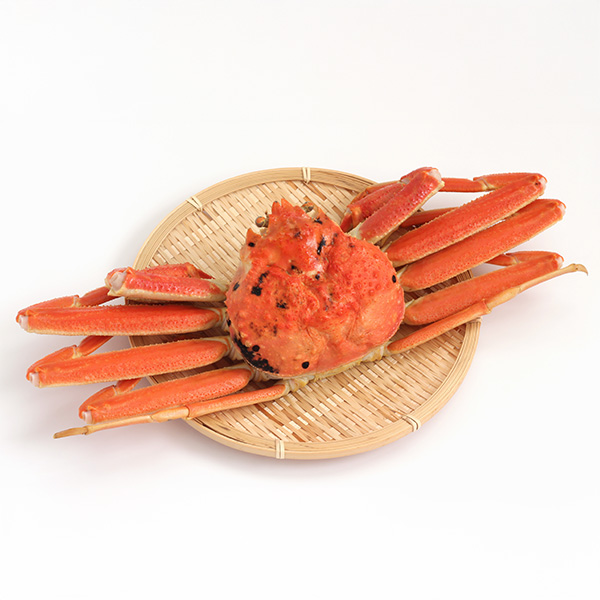 島根県 隠岐の島産 ボイル松葉がに(ずわいがに)姿3尾 (小サイズ300g)【限定100点】【お届け期間：12月10日〜12月25日】【おいしいお取り寄せ】　商品画像1