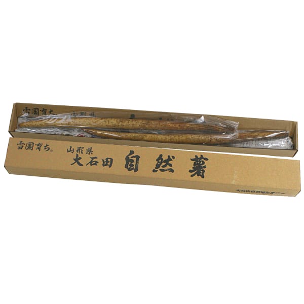 山形県産 自然薯 2〜3本、1kg【お届け期間:11月11日〜12月31日】【MK】　商品画像1