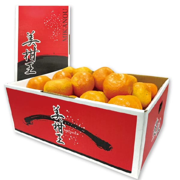愛媛県産 JAえひめ南 美柑王みかん S・M・Lサイズ 3kg【お届け期間:11月20日〜12月28日】【MK】　商品画像1