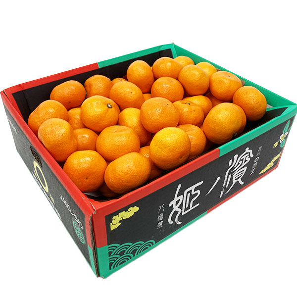 愛媛県産 JAにしうわ 濱ノ姫みかん S・M・Lサイズ 5kg【お届け期間:11月20日〜12月28日】【MK】　商品画像1
