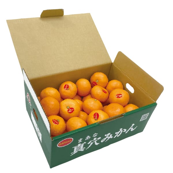愛媛県産 JAにしうわ 真穴みかん S・M・Lサイズ 3kg【お届け期間:11月20日〜12月28日】【MK】　商品画像1