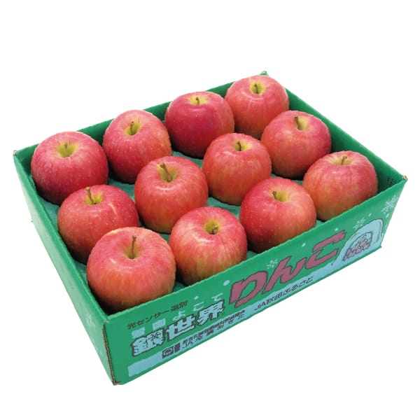 秋田県産 JA秋田ふるさと ふじりんご 3kg (9玉〜12玉)【お届け期間:12月5日〜12月28日】【MK】　商品画像1