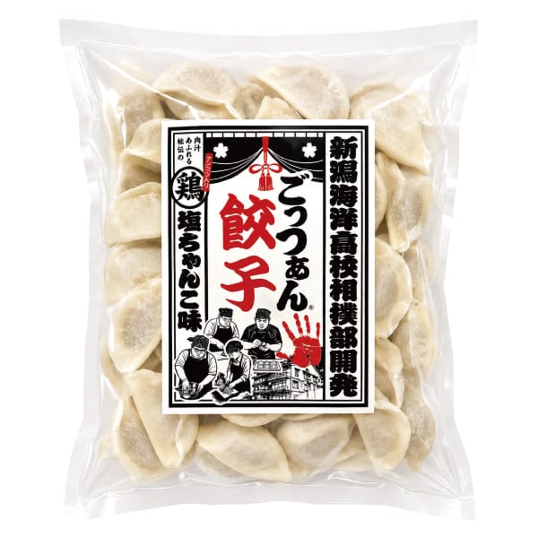 新潟 能水商店 新潟海洋高校相撲部 ごっつぁん餃子 大満足60個入[G-024]【冬の贈りもの・お歳暮】【KN】　商品画像1