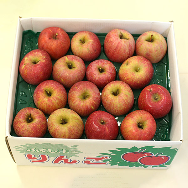 福島県産 りんご サンふじ ご家庭用 わけあり 10kg【限定100点】【お届け期間：11月20日〜12月20日】【ブラックフライデー】　商品画像1