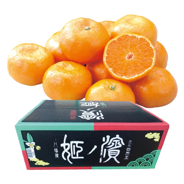 愛媛産 JAにしうわ 濱の姫みかん SもしくはMもしくはLサイズ・5kg【お届け期間:11月8日〜12月31日】【ブラックフライデー】【KN】　商品画像1