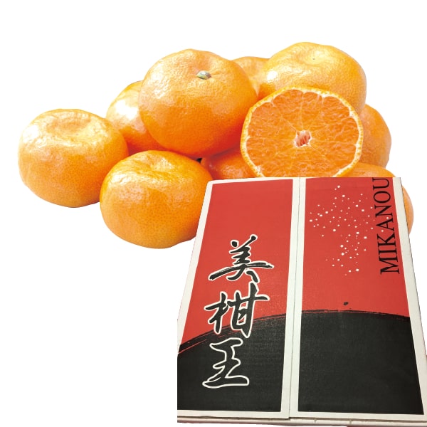 愛媛産 JAえひめ南 高糖度みかん[美柑王] SもしくはMもしくはLサイズ・5kg【お届け期間:11月8日〜12月31日】【ブラックフライデー】【KN】　商品画像1