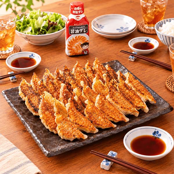 大阪ふくちぁん餃子 バラエティ餃子5種類セット【ブラックフライデー】【NN】　商品画像1