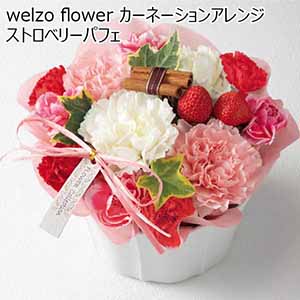 welzo flower カーネーションアレンジ「ストロベリーパフェ」 【母の日】