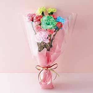 ケーアイ・フレッシュアクセス カーネーション推し色ブーケ(レインボー)【母の日】