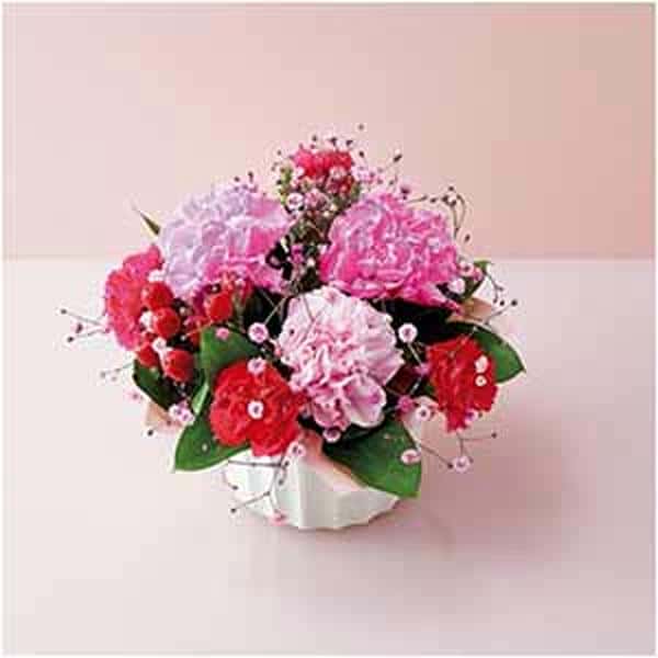 ケーアイ・フレッシュアクセス カーネーション推し色アレンジメント(ピンク)【母の日】