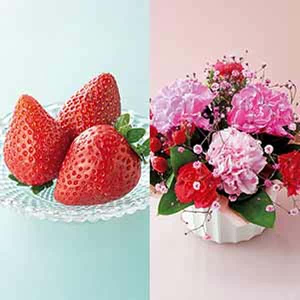 ケーアイ・フレッシュアクセス カーネーション推し色アレンジ(ピンク)といちごのセット【母の日】