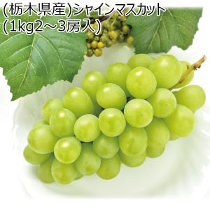 (栃木県産)シャインマスカット(1kg2〜3房入)(強い甘みと上品な香りを、パリッとした食感が人気のぶどう)【お届け期間9月20日(水)〜10月20日(金)】【ふるさとの味 北関東】