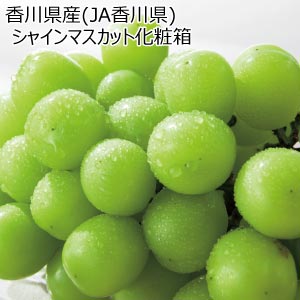 香川県産(JA香川県) シャインマスカット化粧箱(お届け期間：7/22〜8/10)【夏の贈りもの・お中元】
