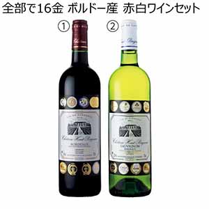 全部で16金 ボルドー産 赤白ワインセット【冬ギフト・お歳暮】[G5-RR2]