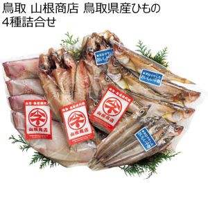 鳥取 山根商店 鳥取県産ひもの 4種詰合せ 【夏ギフト・お中元】