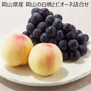 岡山県産 岡山の白桃とピオーネ詰合せ(お届け期間：7/1〜8/25)【夏の贈りもの・お中元】