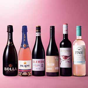 ワインパーティ6本セット【冬の贈りもの・お歳暮】[WP-MX6]