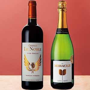 赤と泡の饗宴 至福のギフトセット【イオンのクリスマス】