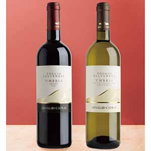 イタリアの名門がてがける 赤白ワインセット【イオンのクリスマス】