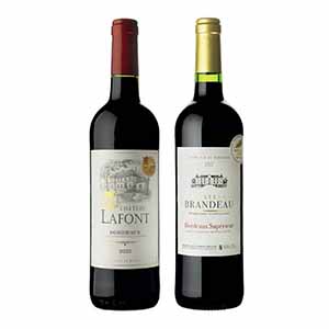 グレートヴィンテージ ボルドー産 赤ワインセット【夏の贈りもの・お中元】[VB2-RR2]