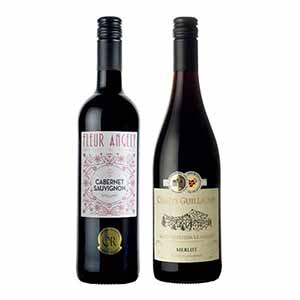 フランス産 赤ワインセット【夏の贈りもの・お中元】[FF2-RR2]