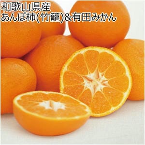 和歌山県産 あんぽ柿(竹籠)＆有田みかん(お届け期間：12/1〜12/28)【冬の贈りもの・お歳暮】