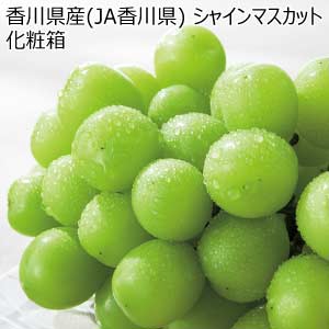 香川県産(JA香川県) シャインマスカット化粧箱(お届け期間：7/22〜8/25)【夏の贈りもの・お中元】