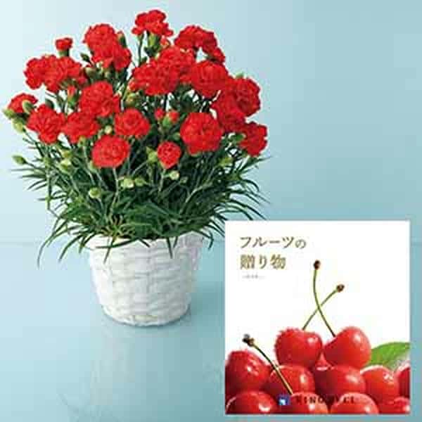 リンベル フルーツが選べるカタログギフトとカーネーションセット(めぶき)【母の日】