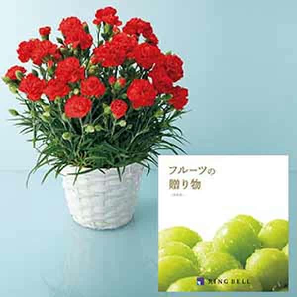 リンベル フルーツが選べるカタログギフトとカーネーションセット(たわわ)【母の日】