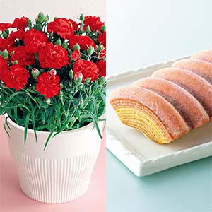 アサミグリーンプランツ カーネーション「伝えたい想い」(SUSTEE付)＋神戸スイーツポートの母の日2層バウム(プレーン＆いちご)【母の日】
