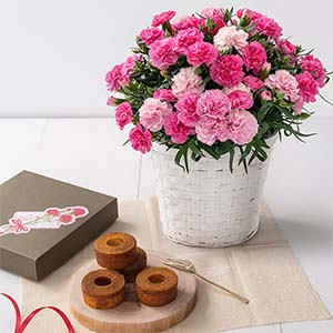 ホシファーム カーネーション＆焦がしキャラメルがしみ込んだバーム4個【母の日】