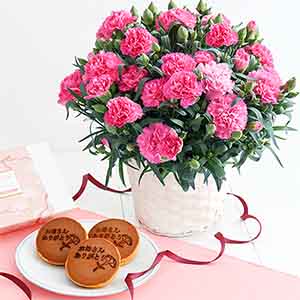 ホシファーム カーネーション＆徳島なると金時のどら焼き【母の日】