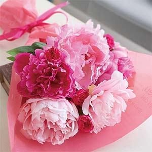 竹中庭園緑化 しゃくやく5種のおくりもの【限定500点】【母の日】