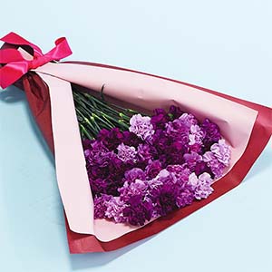 茨木春草園 50本のムーンダストブーケ【母の日】