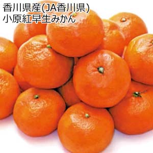 香川県産(JA香川県) 小原紅早生みかん(お届け期間：12/1〜12/28)【冬の贈りもの・お歳暮】