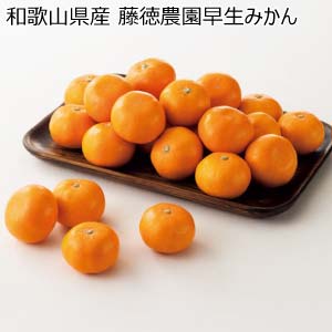 和歌山県産 藤徳農園早生みかん(お届け期間：12/1〜12/28)【冬の贈りもの・お歳暮】